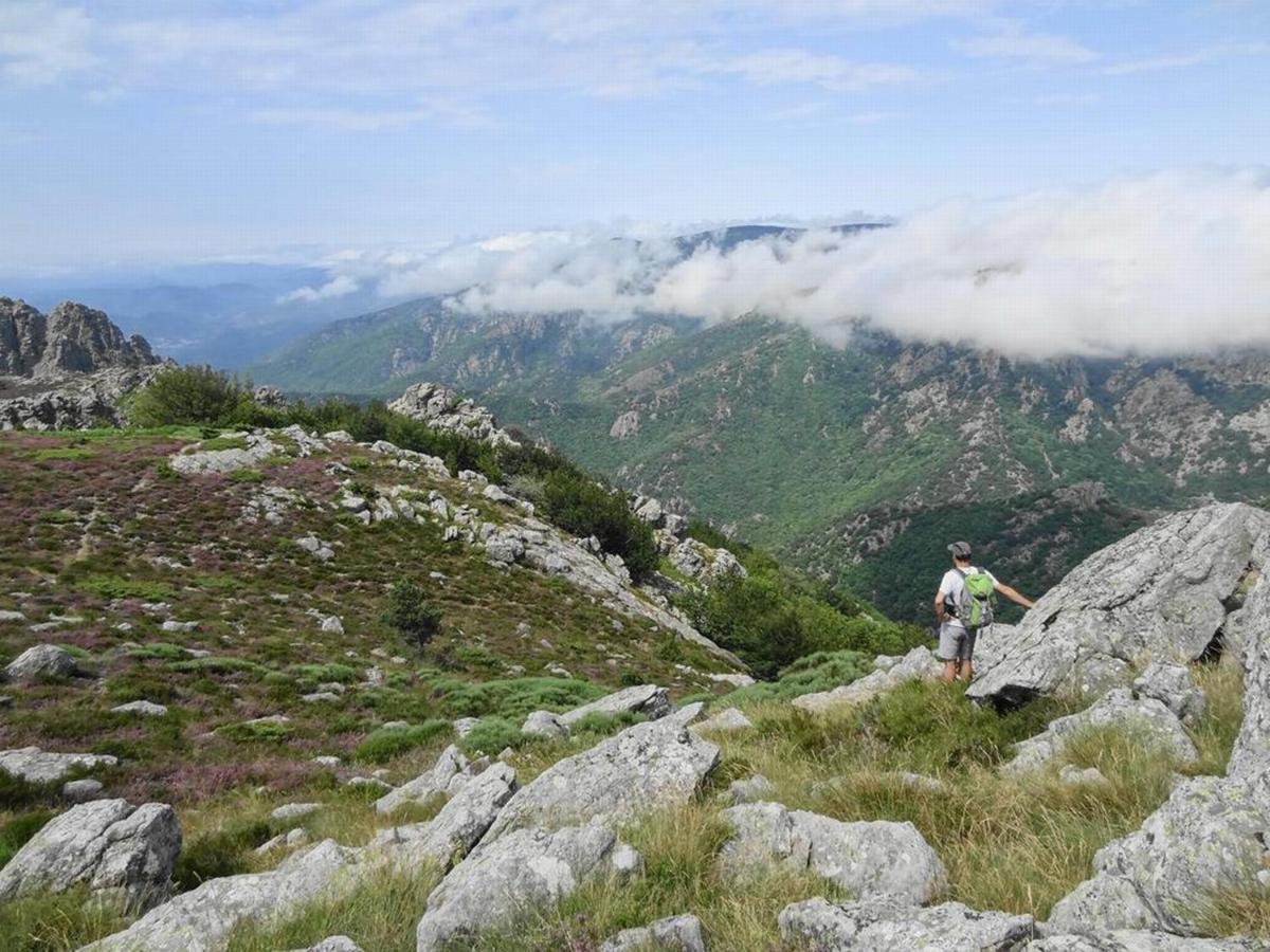 Villa Les Martinets - Voie Verte Passa Pais-Gorges d'Héric-Massif du Caroux-Chambre d'hôte Le Poujol-sur-Orb Extérieur photo