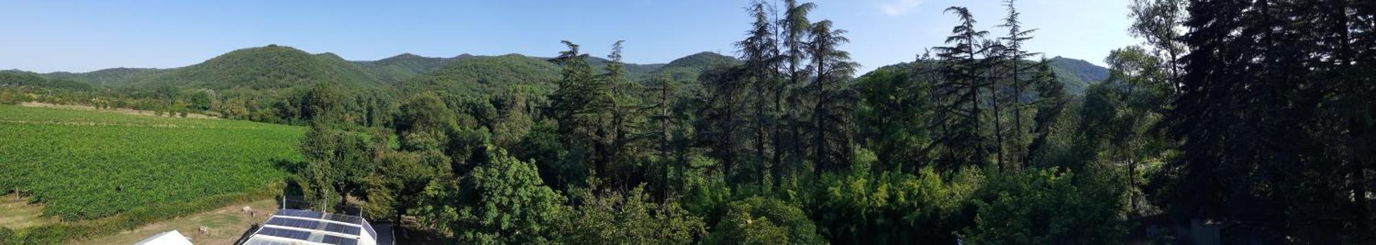 Villa Les Martinets - Voie Verte Passa Pais-Gorges d'Héric-Massif du Caroux-Chambre d'hôte Le Poujol-sur-Orb Extérieur photo