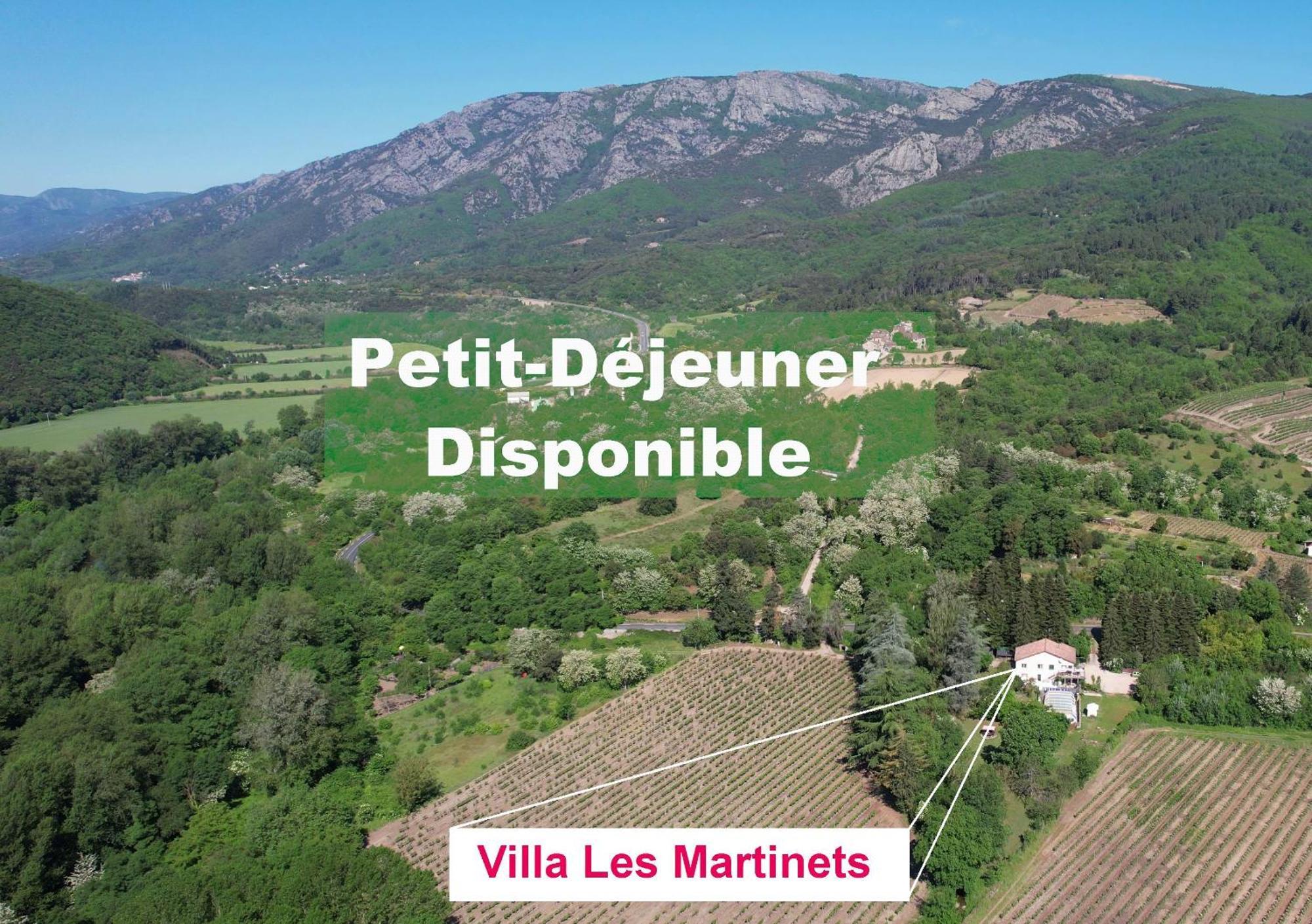 Villa Les Martinets - Voie Verte Passa Pais-Gorges d'Héric-Massif du Caroux-Chambre d'hôte Le Poujol-sur-Orb Extérieur photo